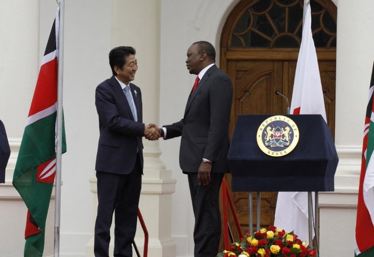 Japan defines priorities for cooperation with Africa - ảnh 1
